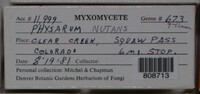 Physarum nutans image